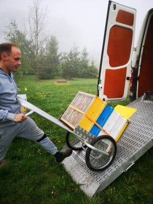 transport of bees