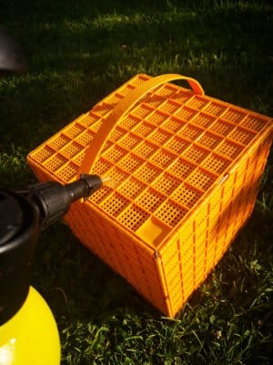 bee sweeping