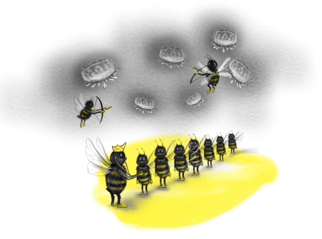 as in the hive, so on the ground