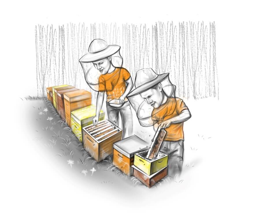 two kilos of bees for me, please