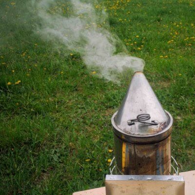 beekeeping tools