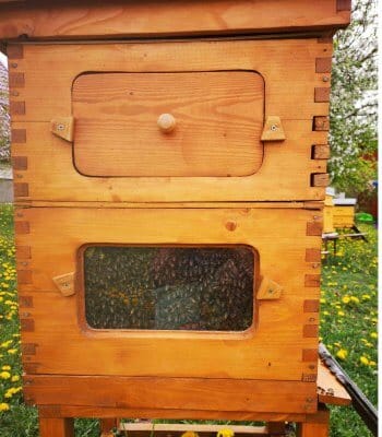 The Bee Guide to Cosy Housing 2 good foundations for half the work