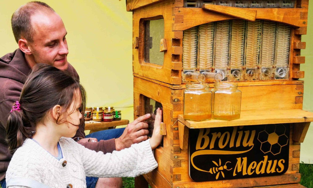 the bees' guide to cosy living