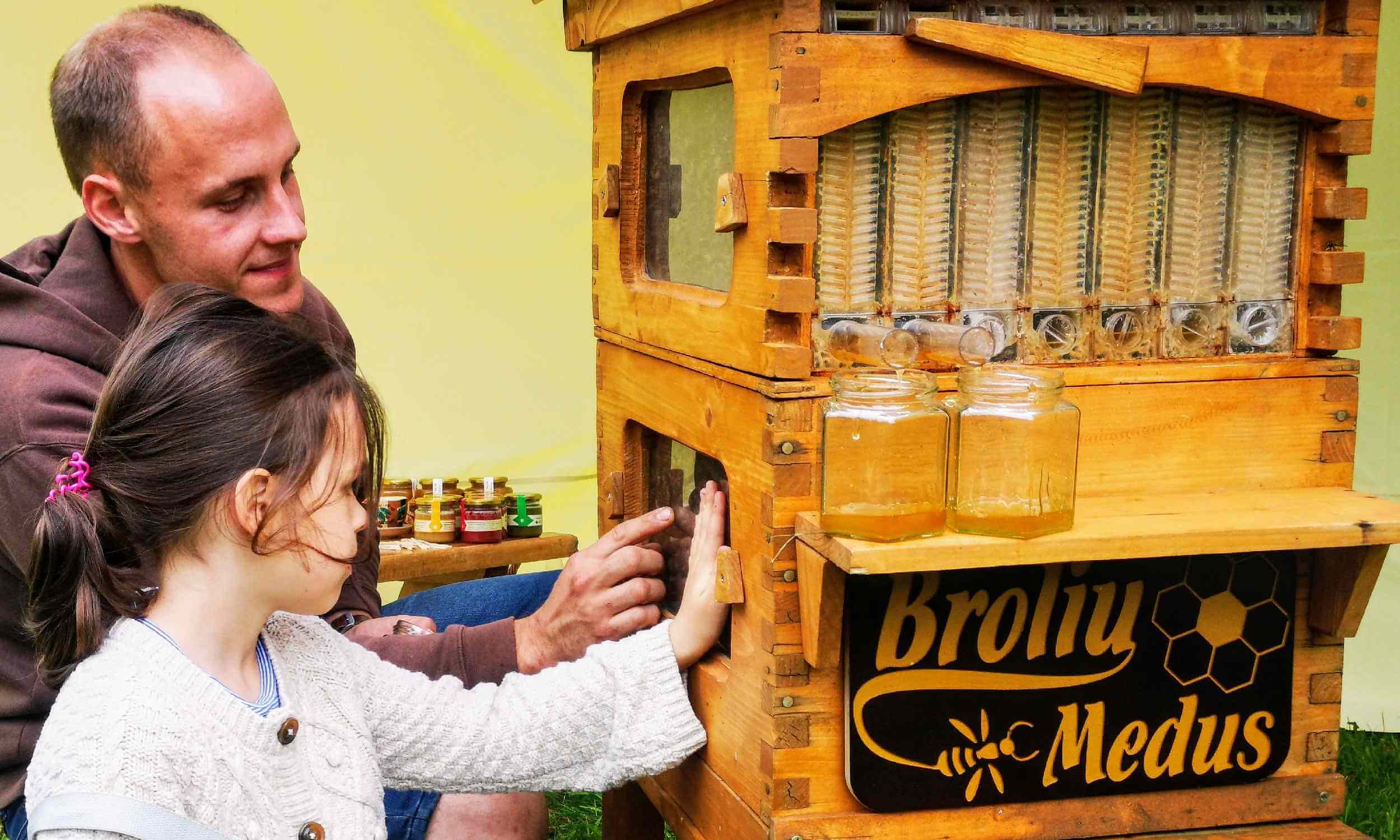 the bees' guide to cosy living