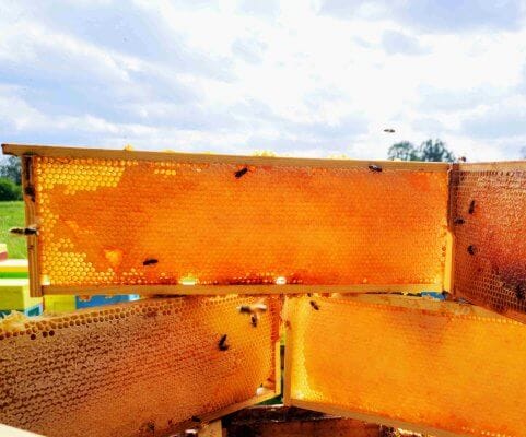 fresh honey