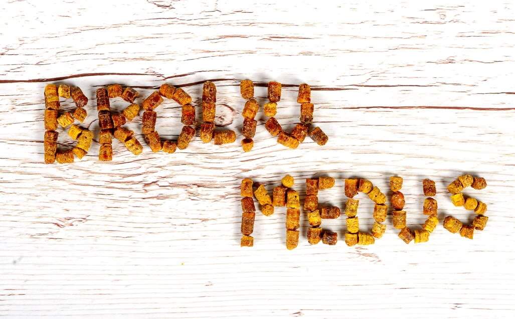 Bee bread and pollen. How to use