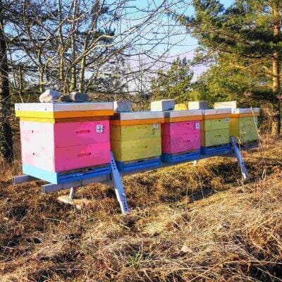 the first honey