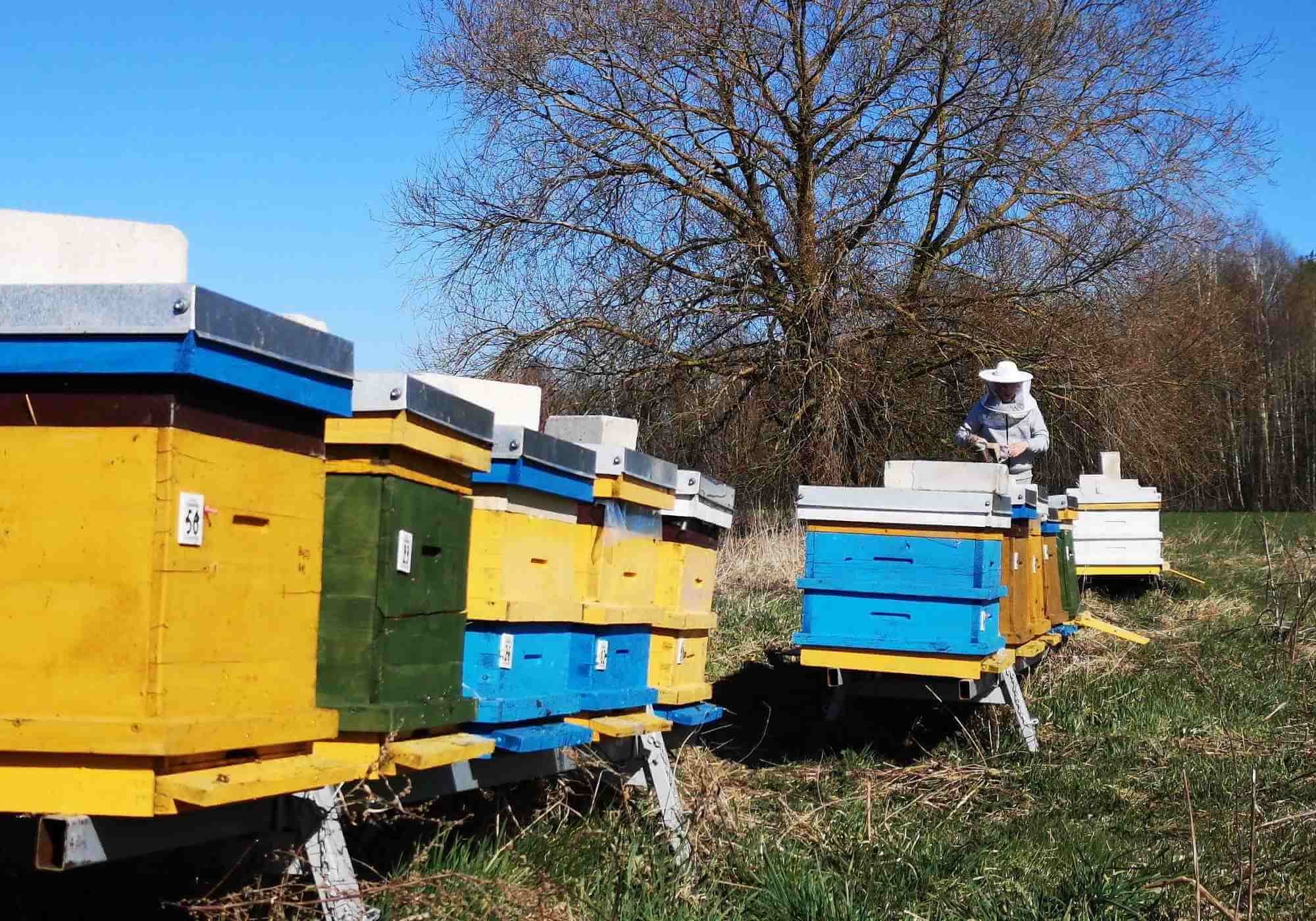 a beekeeper's first date