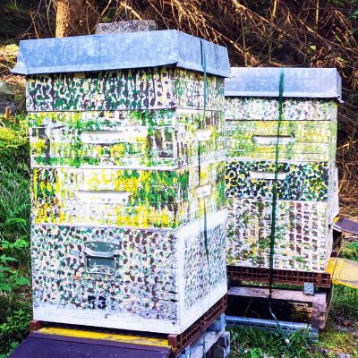 Honeymoon at the apiary
