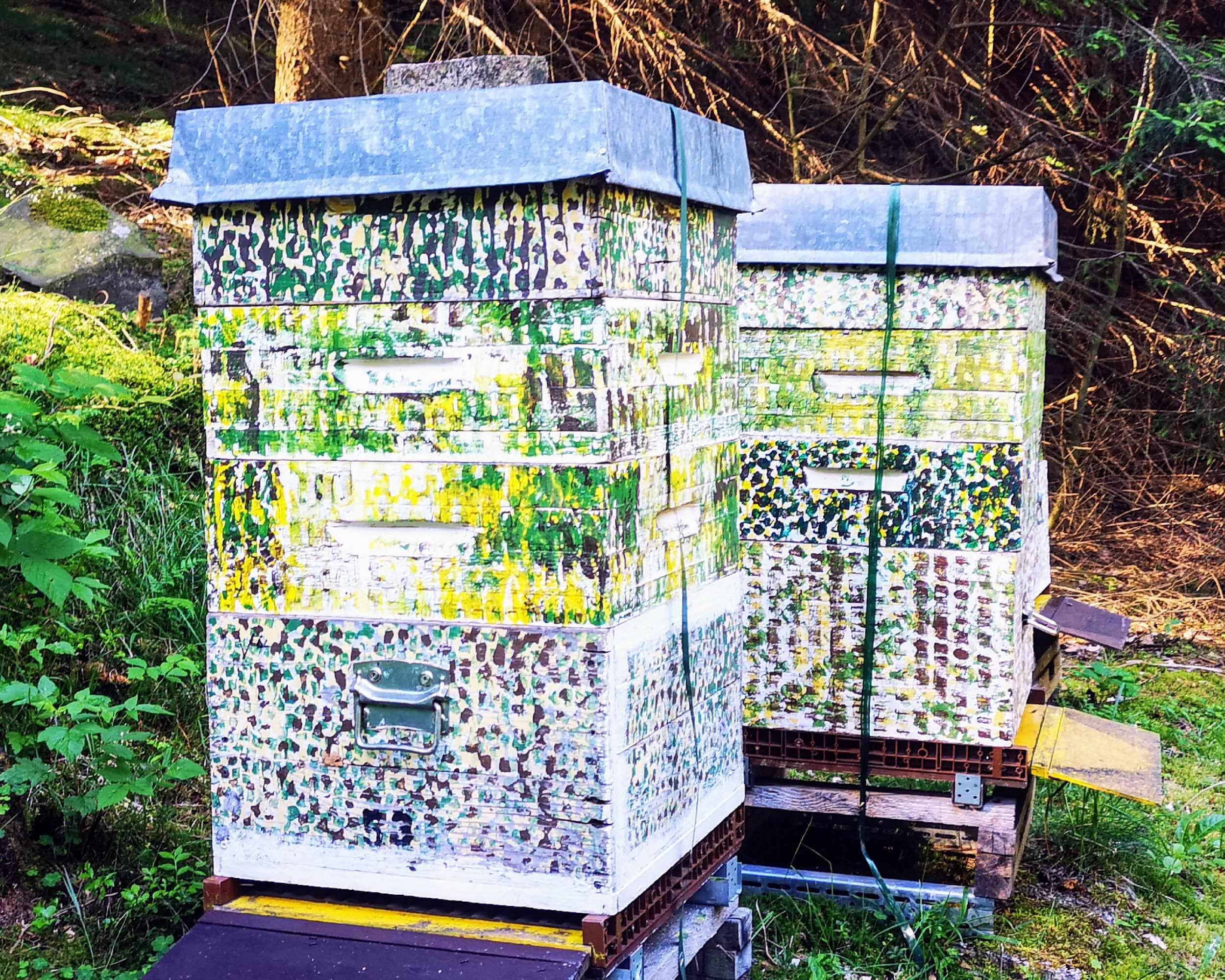 Honeymoon at the apiary