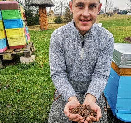 When to eat bee bread