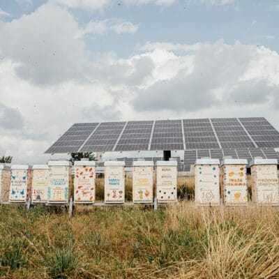 Sustainable business